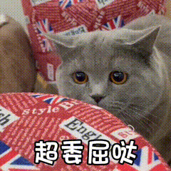 微信动图表情包制作（元宝小爷微信表情包教程）