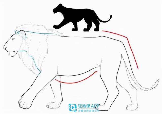 动物怎么画简单又漂亮（如何画出小动物？动物简单画法技巧！）