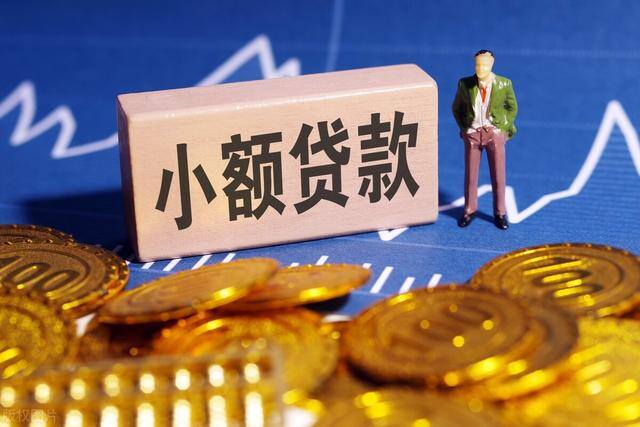 大学生贷款平台（小额贷平台有哪些？）