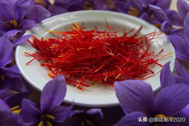 药材种植利润（种植哪类药材利润最高？）