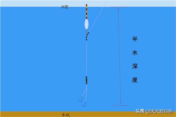 钓鱼的步骤（台钓调漂的5个步骤）