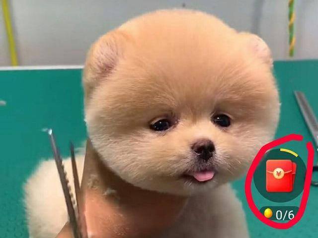 快手极速版怎样赚钱最多（快手极速版，挣钱软件）
