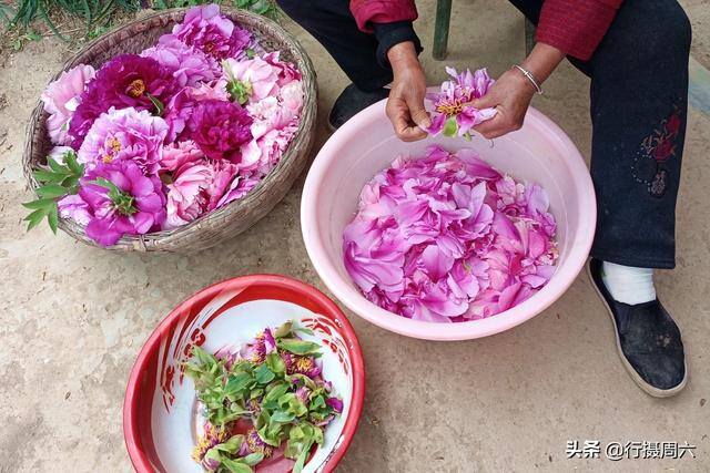 手工活300一天在家做（杜大爷家的牡丹园）