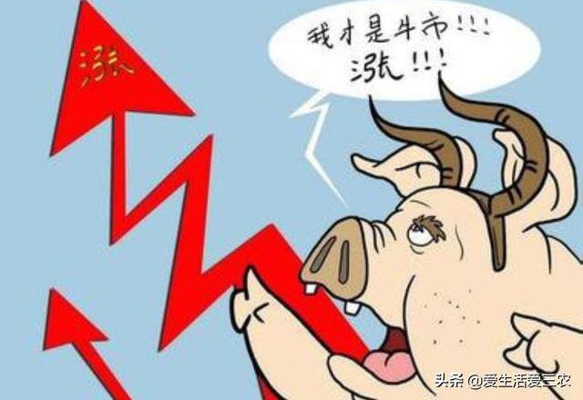 养牛的利润与成本（育肥牛的成本与利润）