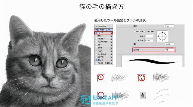 动物怎么画简单又漂亮（如何画出小动物？动物简单画法技巧！）