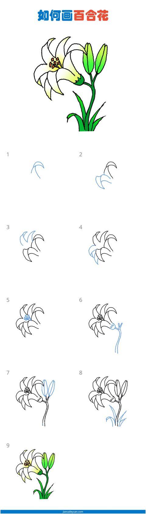 教师节花朵手工怎么做（教师节送给老师的祝福语）