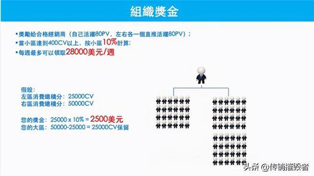 淘粉生活赚钱是真的吗（海粉宝宝被公然讨债，社交电商的新宠儿）