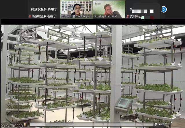 未来五年药材种植前景（未来的农业发展趋势）