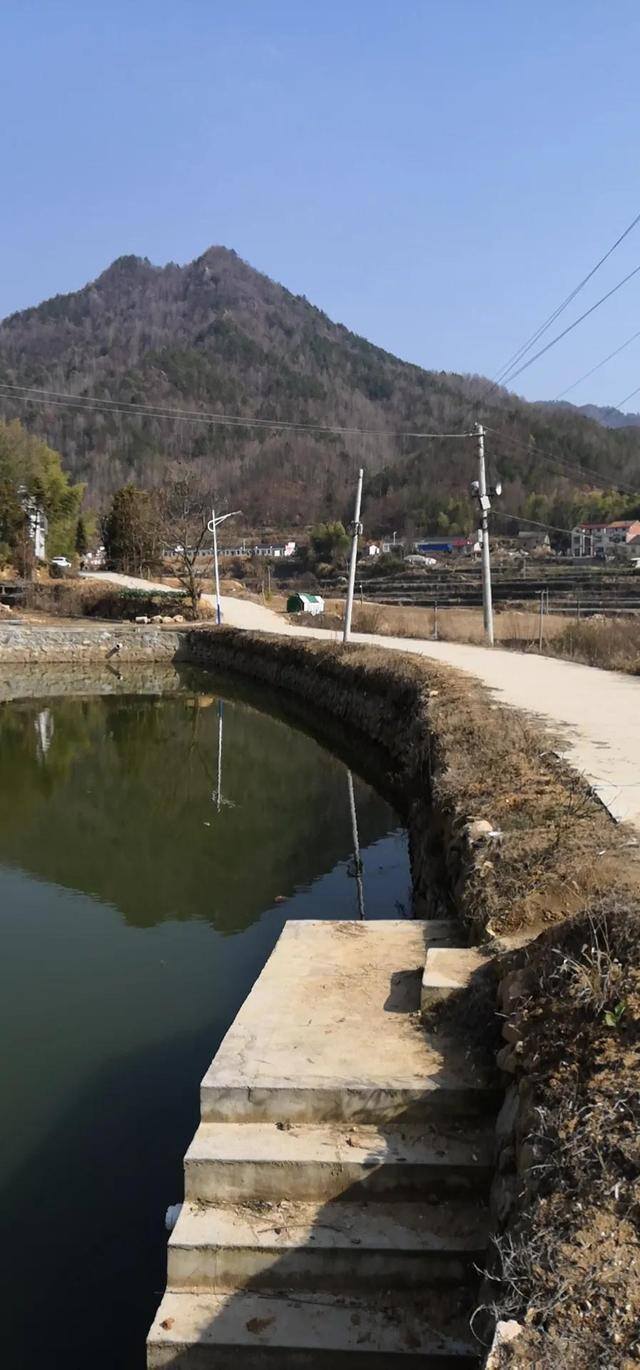 有家地方没工作整句话（老父亲离开我们已经第十四天了）