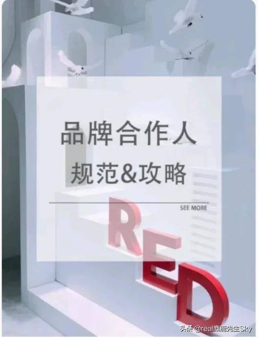小红书博主怎么赚钱（小红书接推广的三种方式）