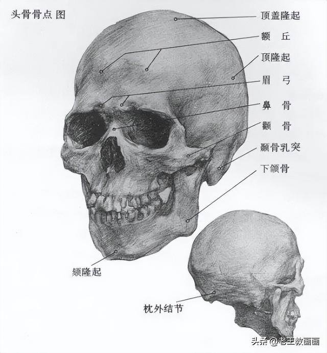 画画教学（50个素描基础教程）