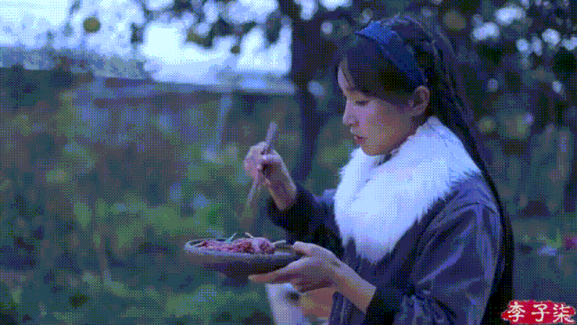 怎么拍视频（李子柒的美食摄影技巧）