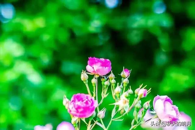 风水进门五不见（借钱没有还的家门，不能去）