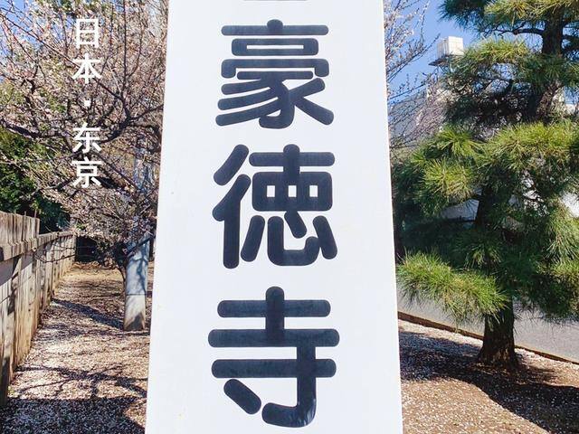 发财毛一般长在哪里（日本旅行攻略之“招财猫”）