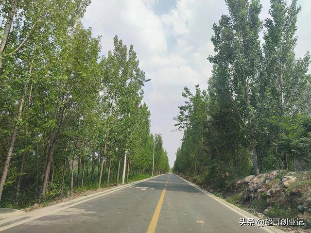 微头条搬砖还能赚钱吗（自媒体创作月入过万）