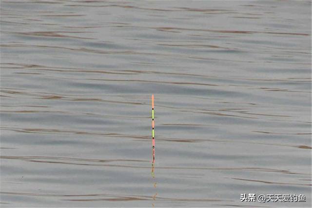 钓鱼技巧（钓鱼技巧：无钩调漂和无钩调漂的区别）