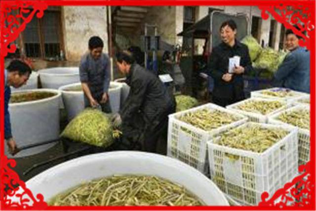 创业小项目做什么好（目前有哪些具备发展前景的实体创业小项目？）