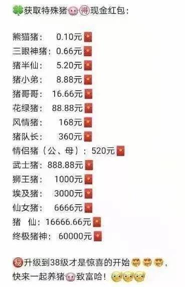 真正的赚钱软件无广告游戏（稀有猪升级攻略）