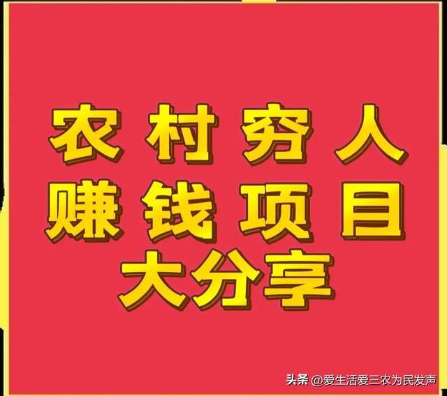 最适合穷人的创业项目（穷人如何在农村创业？）