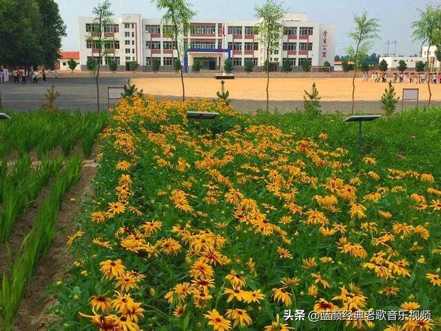 看小说赚零花钱（娟子，爸现在给你的，不是零花钱，是女孩的尊严！）