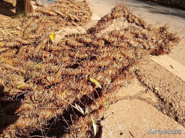 附近有没有手工活拿回家做（库周边，遇见小村庄）