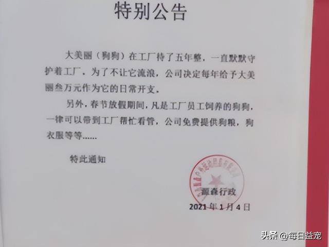 养多少狗一年赚二十万（工厂老员工月入过万，狗狗被拴屋外14年）
