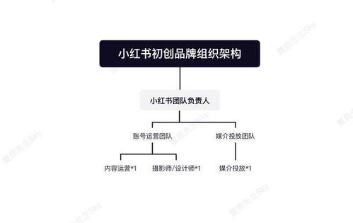 小红书运营团队