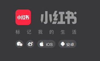 小红书自媒体怎么做