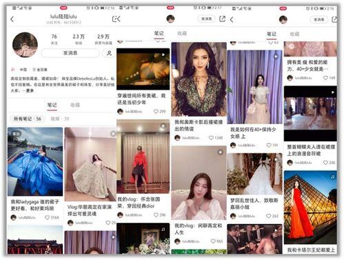 小红书博主真实收入