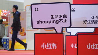 小红书商务合作