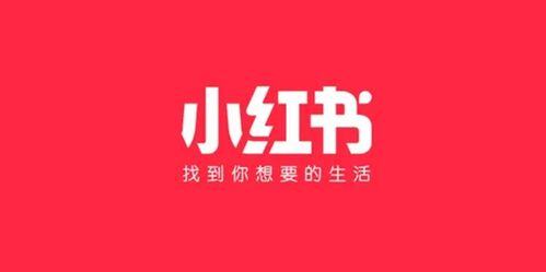 小红书怎么分类合集