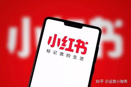 小红书个人号运营技巧