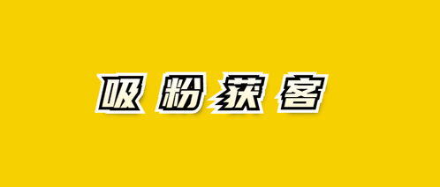 小红书流量变现收入怎么样