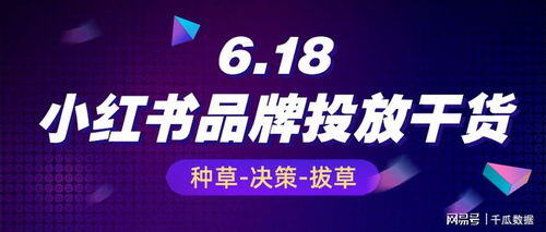 小红书投放玩法