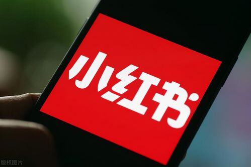 怎样在小红书上推广自己的产品