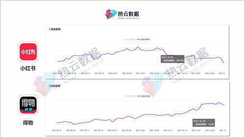 小红书必须交1000元开店么