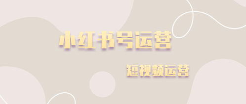 怎么运营小红书