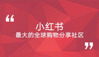 小红书粉丝下单平台