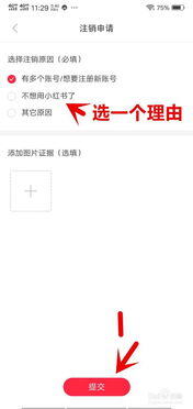 小红书个人账号怎么运营