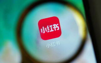 小红书视频号认证条件