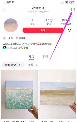小红书软件有什么用