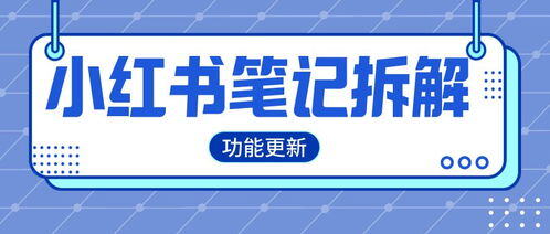 小红书怎么投放流量