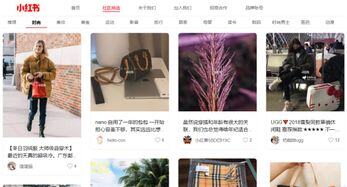 小红书怎么增加曝光率