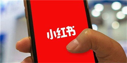 小红书是用来干嘛的