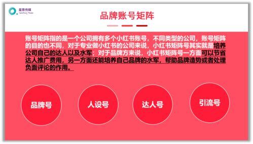 小红书发文怎么赚钱