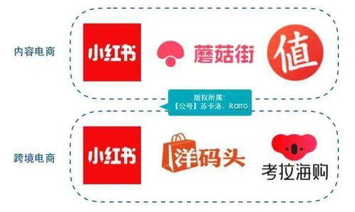 新手怎么运营小红书