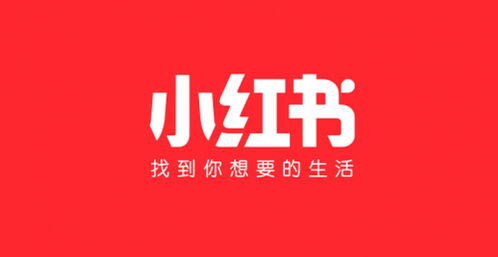 小红书入驻