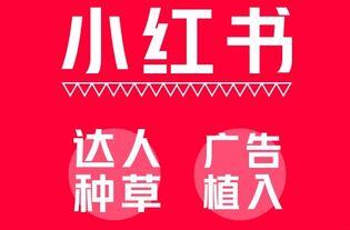 小红书怎么推广自己的笔记