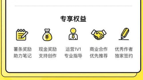 小红书视频号申请条件