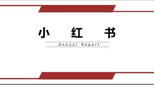 小红书的运营模式